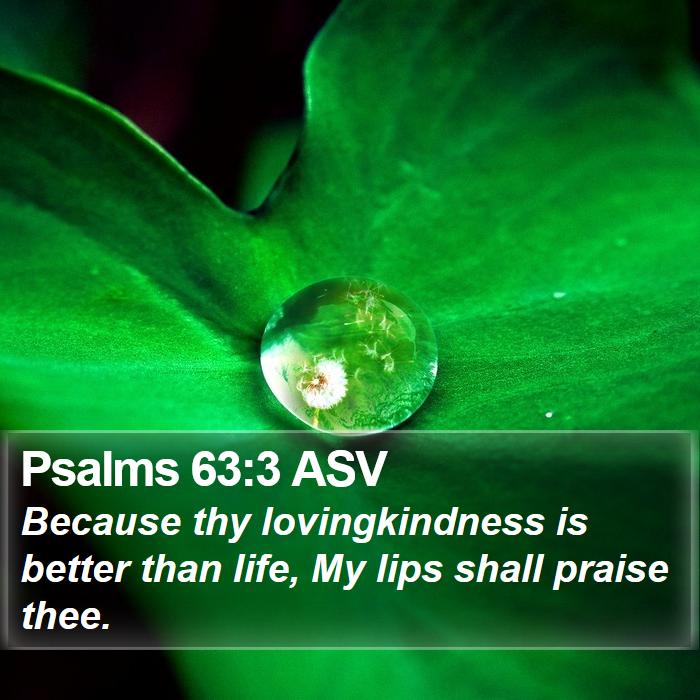 Psalms 63:3 ASV Bible Study