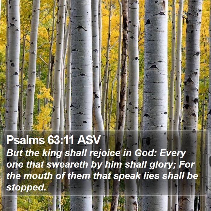 Psalms 63:11 ASV Bible Study