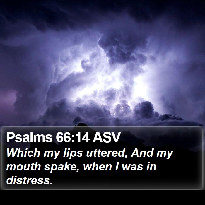 Psalms 66:14 ASV Bible Study