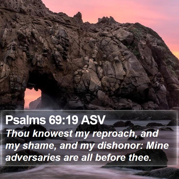 Psalms 69:19 ASV Bible Study