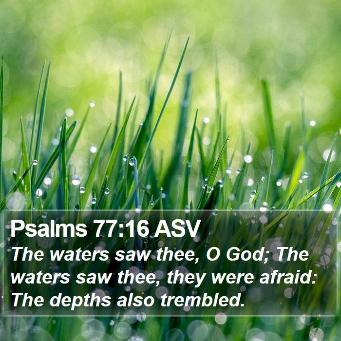 Psalms 77:16 ASV Bible Study