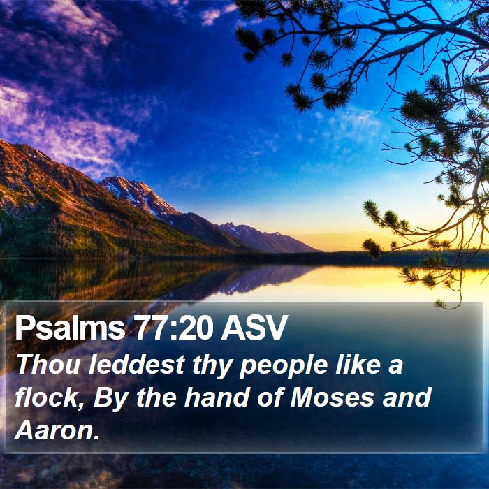 Psalms 77:20 ASV Bible Study