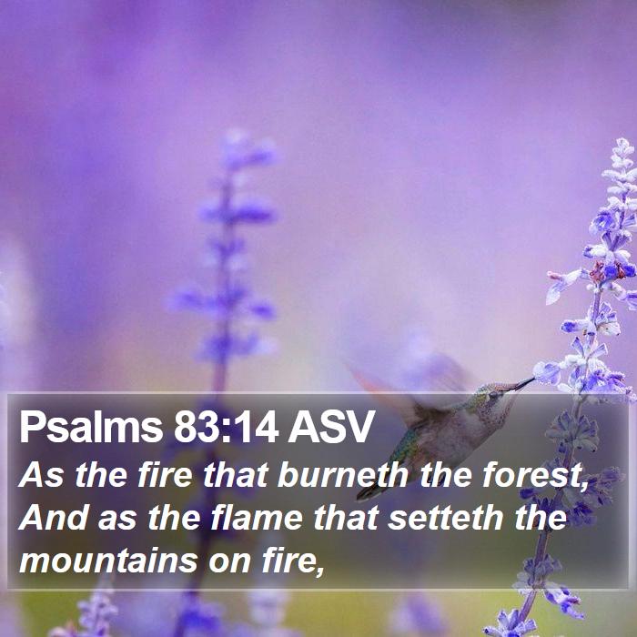 Psalms 83:14 ASV Bible Study