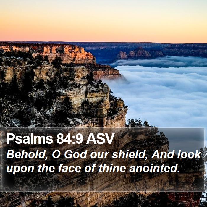 Psalms 84:9 ASV Bible Study