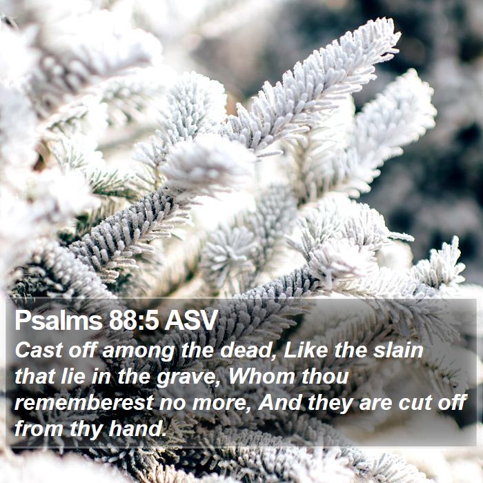 Psalms 88:5 ASV Bible Study