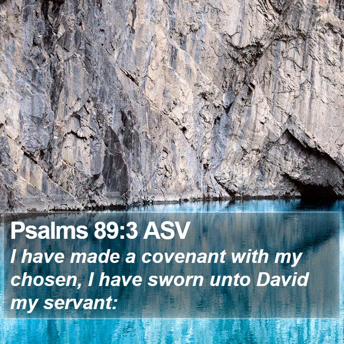 Psalms 89:3 ASV Bible Study