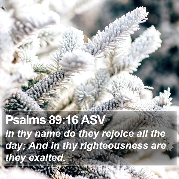 Psalms 89:16 ASV Bible Study