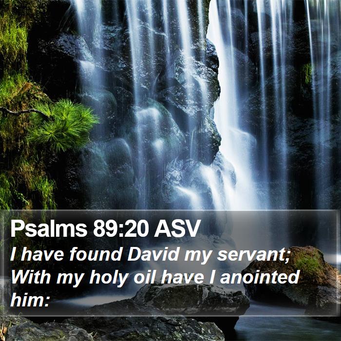 Psalms 89:20 ASV Bible Study