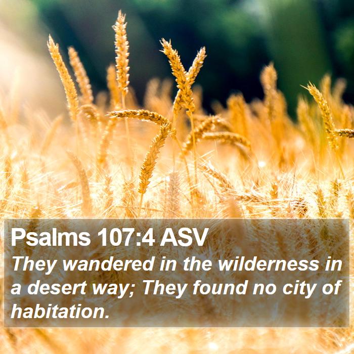 Psalms 107:4 ASV Bible Study