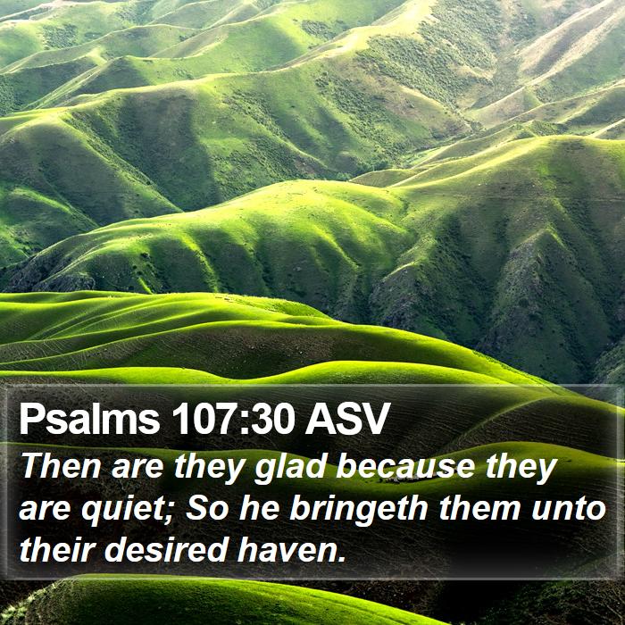 Psalms 107:30 ASV Bible Study