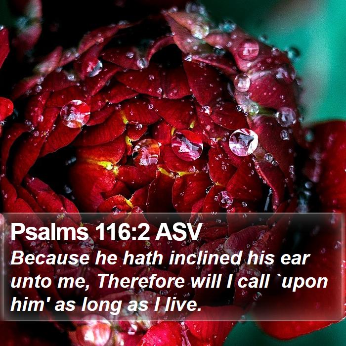 Psalms 116:2 ASV Bible Study