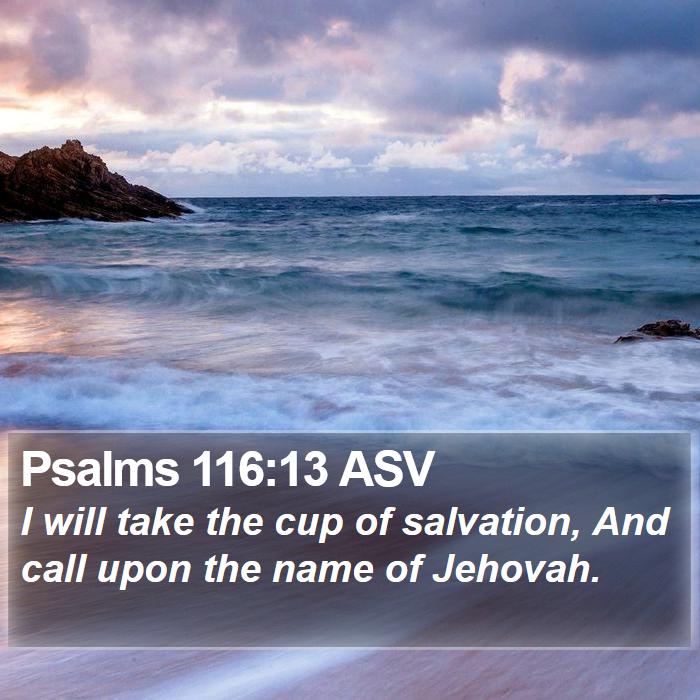 Psalms 116:13 ASV Bible Study