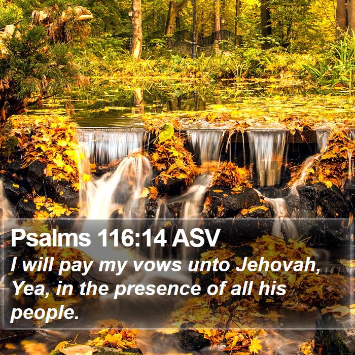 Psalms 116:14 ASV Bible Study