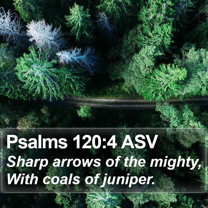 Psalms 120:4 ASV Bible Study