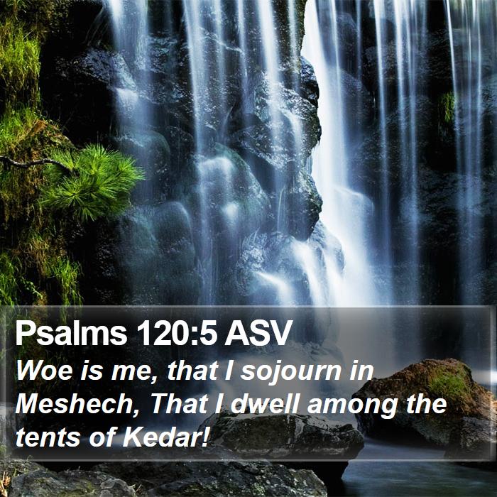 Psalms 120:5 ASV Bible Study