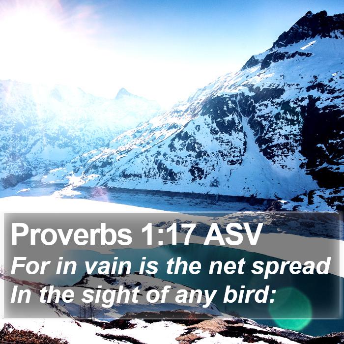 Proverbs 1:17 ASV Bible Study