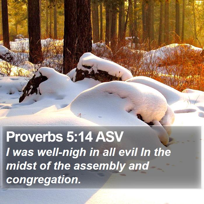 Proverbs 5:14 ASV Bible Study