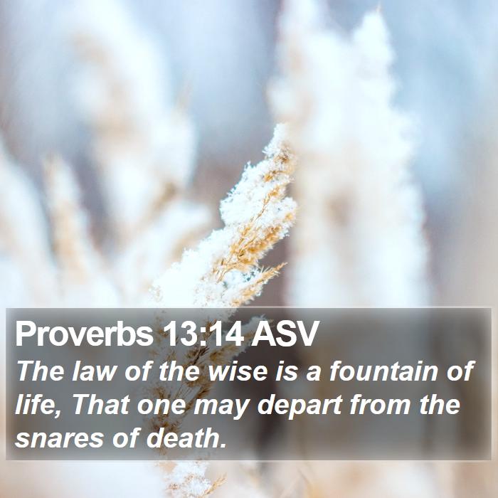 Proverbs 13:14 ASV Bible Study