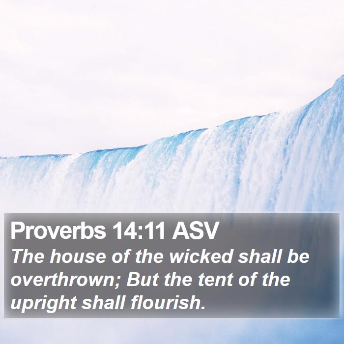 Proverbs 14:11 ASV Bible Study