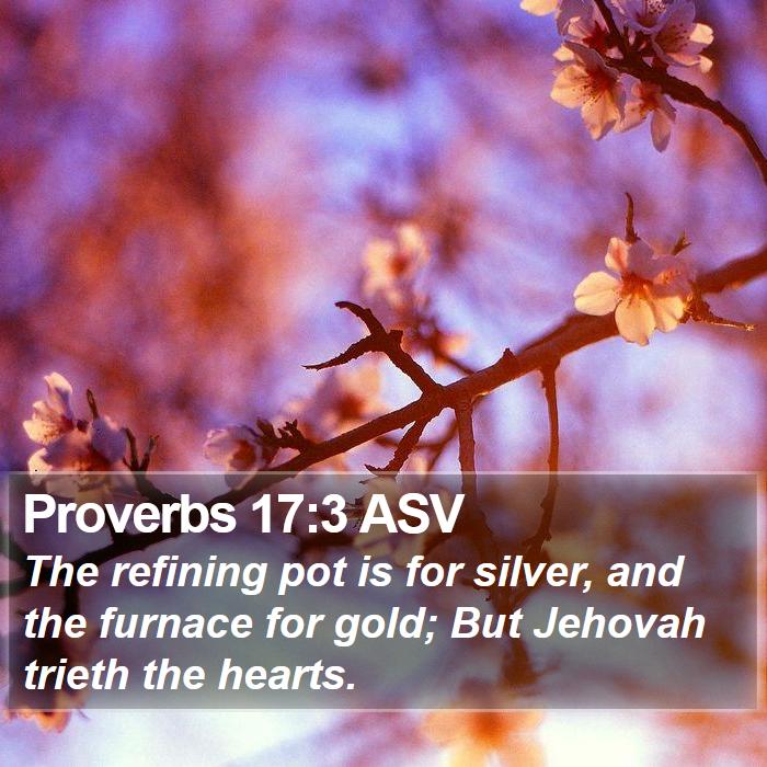 Proverbs 17:3 ASV Bible Study