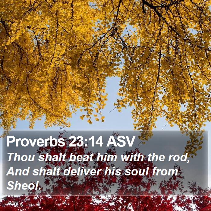 Proverbs 23:14 ASV Bible Study