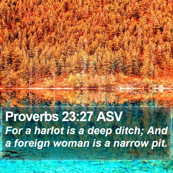 Proverbs 23:27 ASV Bible Study