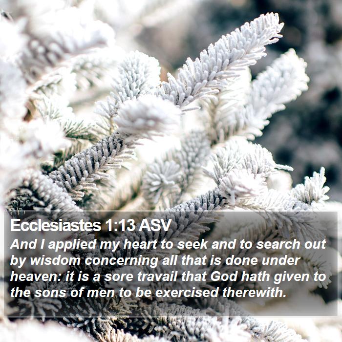 Ecclesiastes 1:13 ASV Bible Study