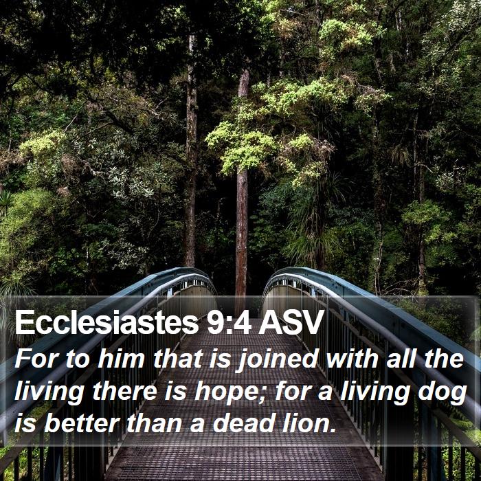 Ecclesiastes 9:4 ASV Bible Study