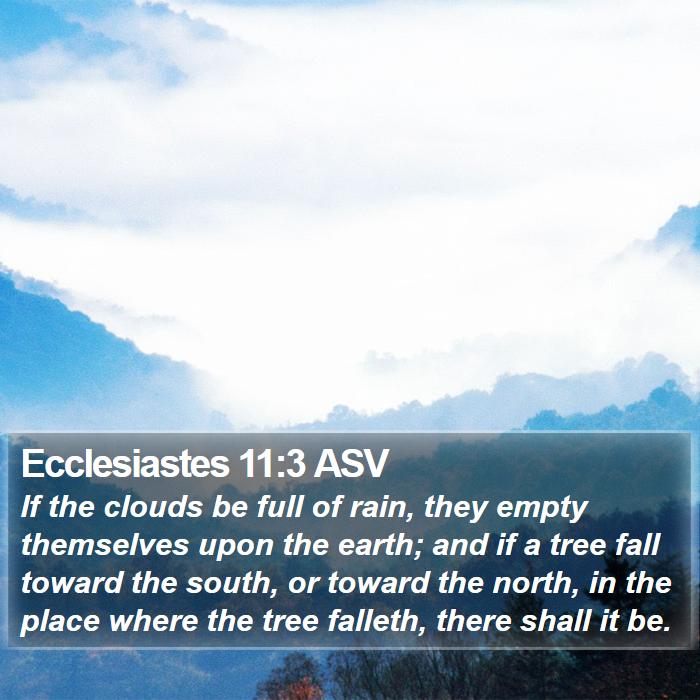 Ecclesiastes 11:3 ASV Bible Study