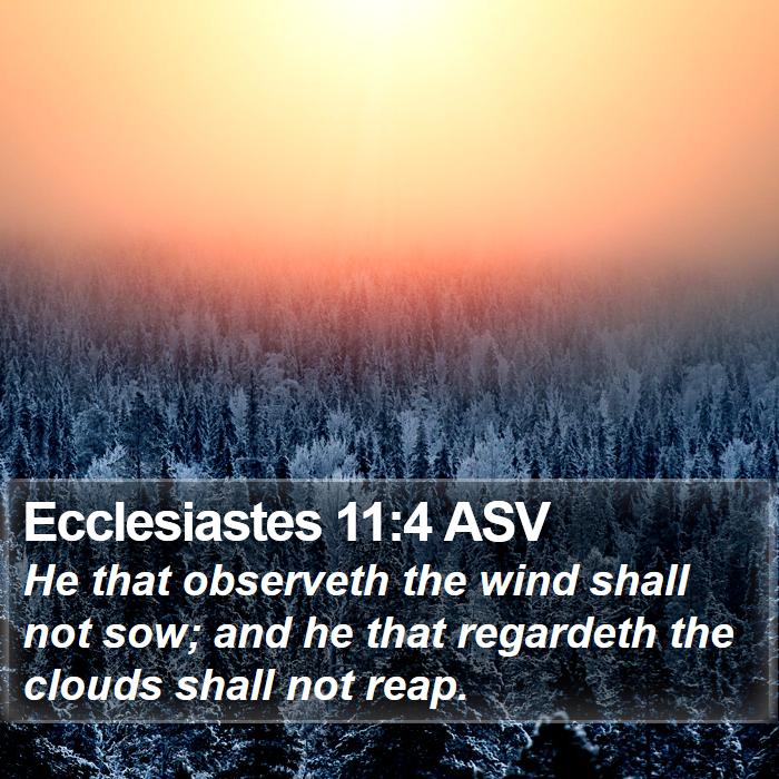 Ecclesiastes 11:4 ASV Bible Study