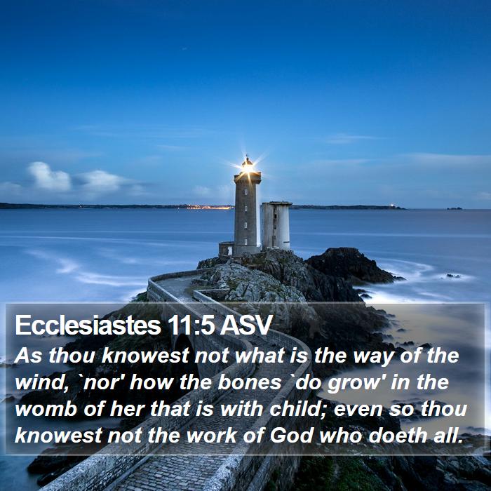 Ecclesiastes 11:5 ASV Bible Study