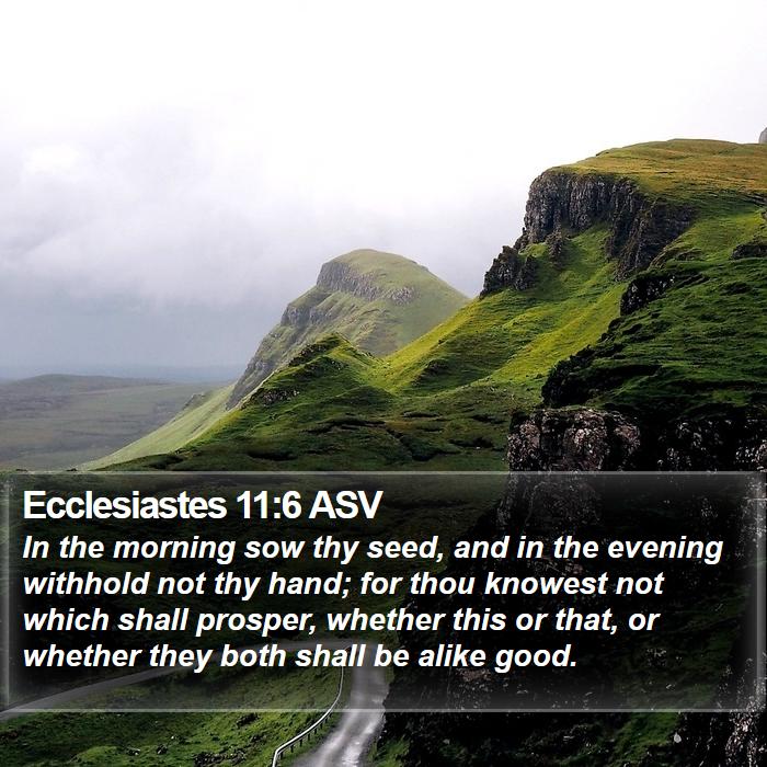 Ecclesiastes 11:6 ASV Bible Study