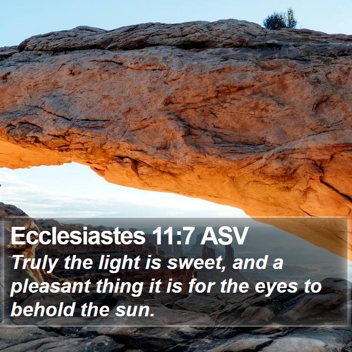 Ecclesiastes 11:7 ASV Bible Study