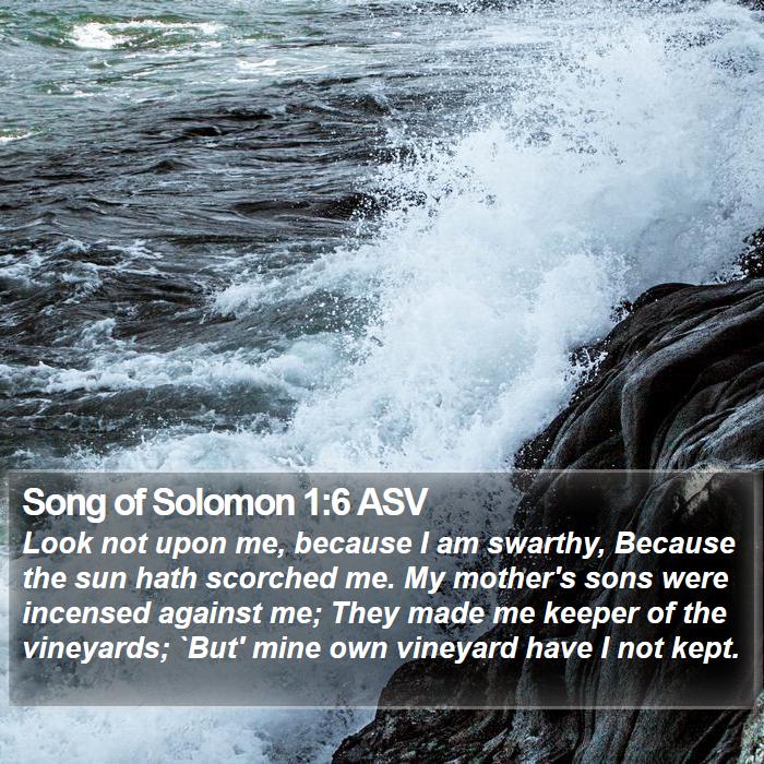 Song of Solomon 1:6 ASV Bible Study