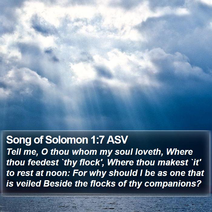 Song of Solomon 1:7 ASV Bible Study