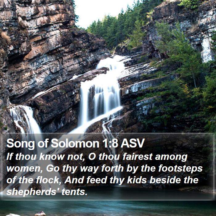 Song of Solomon 1:8 ASV Bible Study