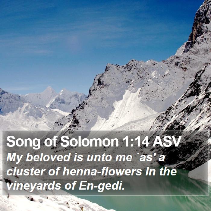 Song of Solomon 1:14 ASV Bible Study