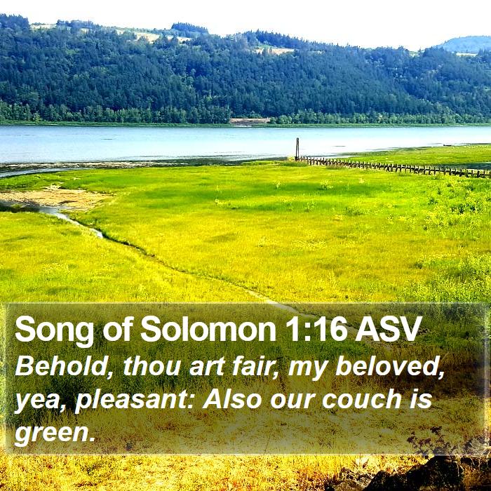 Song of Solomon 1:16 ASV Bible Study