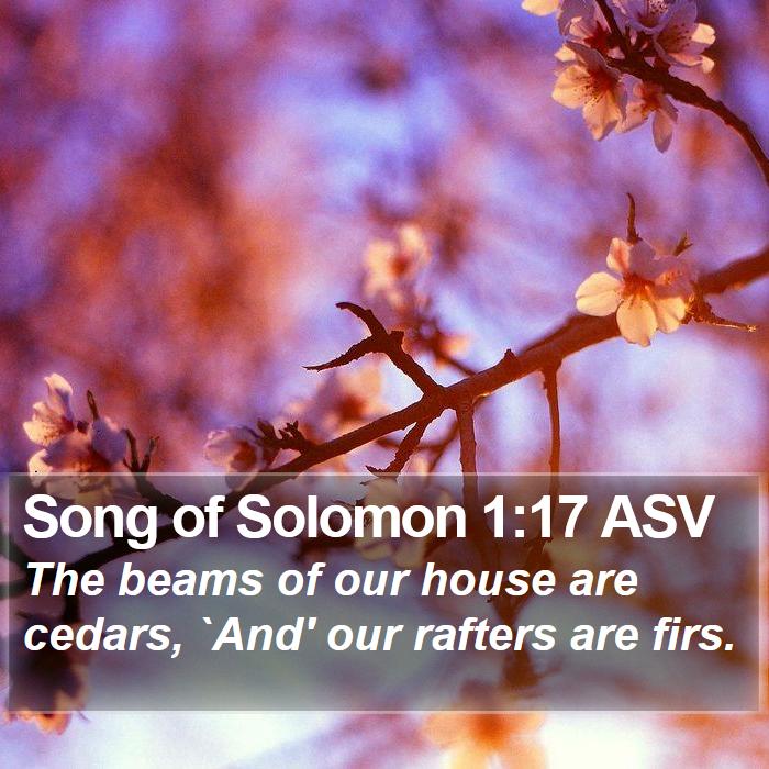 Song of Solomon 1:17 ASV Bible Study