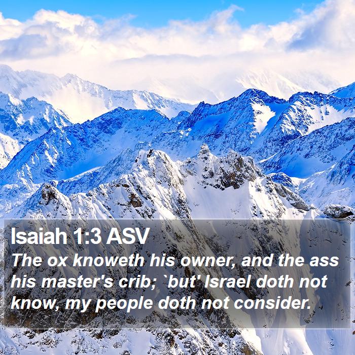 Isaiah 1:3 ASV Bible Study