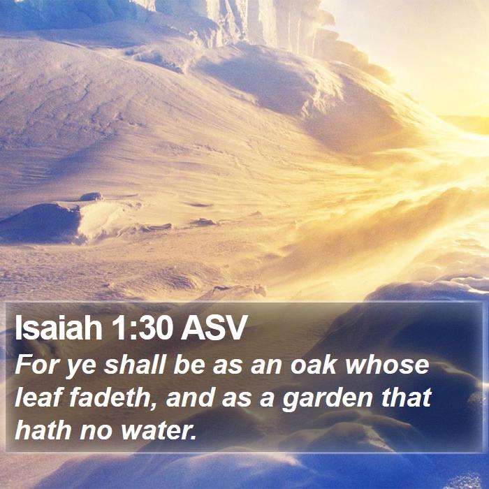 Isaiah 1:30 ASV Bible Study