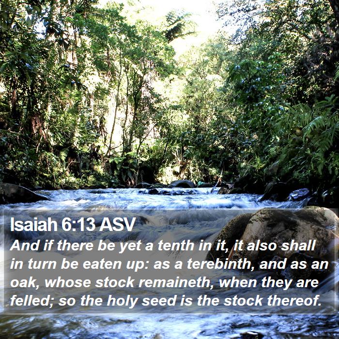 Isaiah 6:13 ASV Bible Study