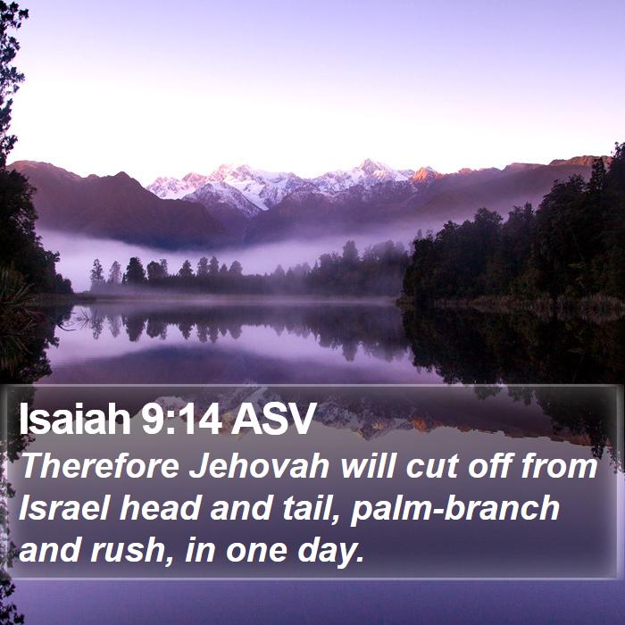 Isaiah 9:14 ASV Bible Study