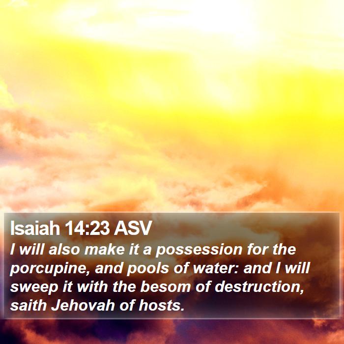 Isaiah 14:23 ASV Bible Study