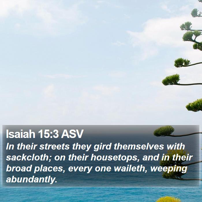 Isaiah 15:3 ASV Bible Study