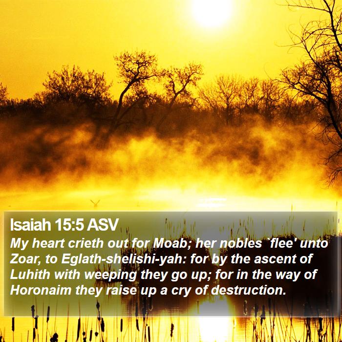 Isaiah 15:5 ASV Bible Study