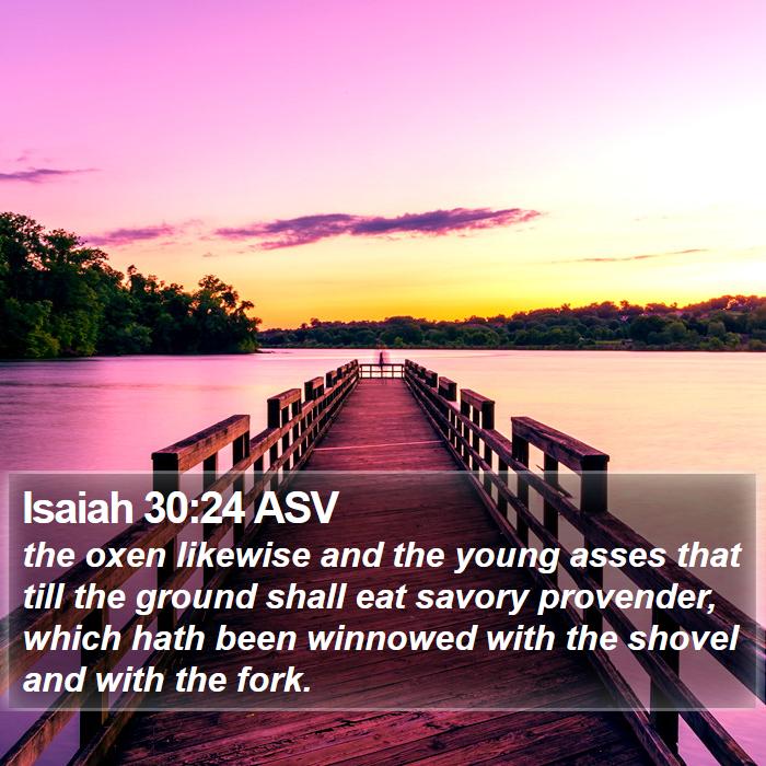 Isaiah 30:24 ASV Bible Study