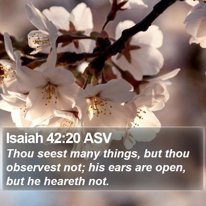 Isaiah 42:20 ASV Bible Study