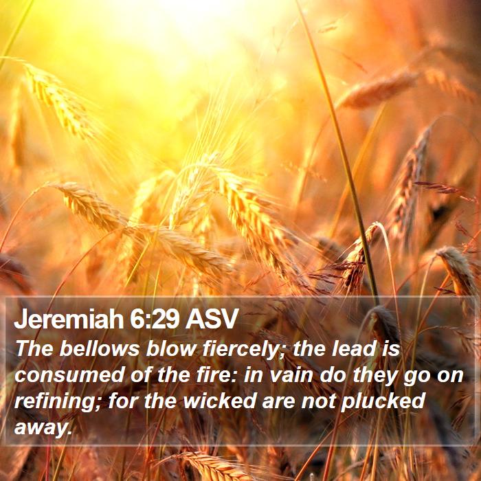 Jeremiah 6:29 ASV Bible Study