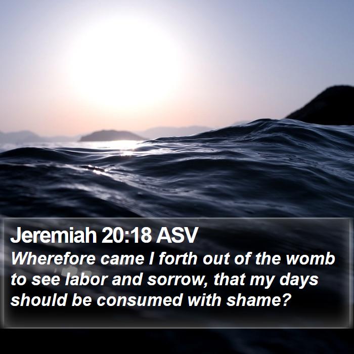 Jeremiah 20:18 ASV Bible Study